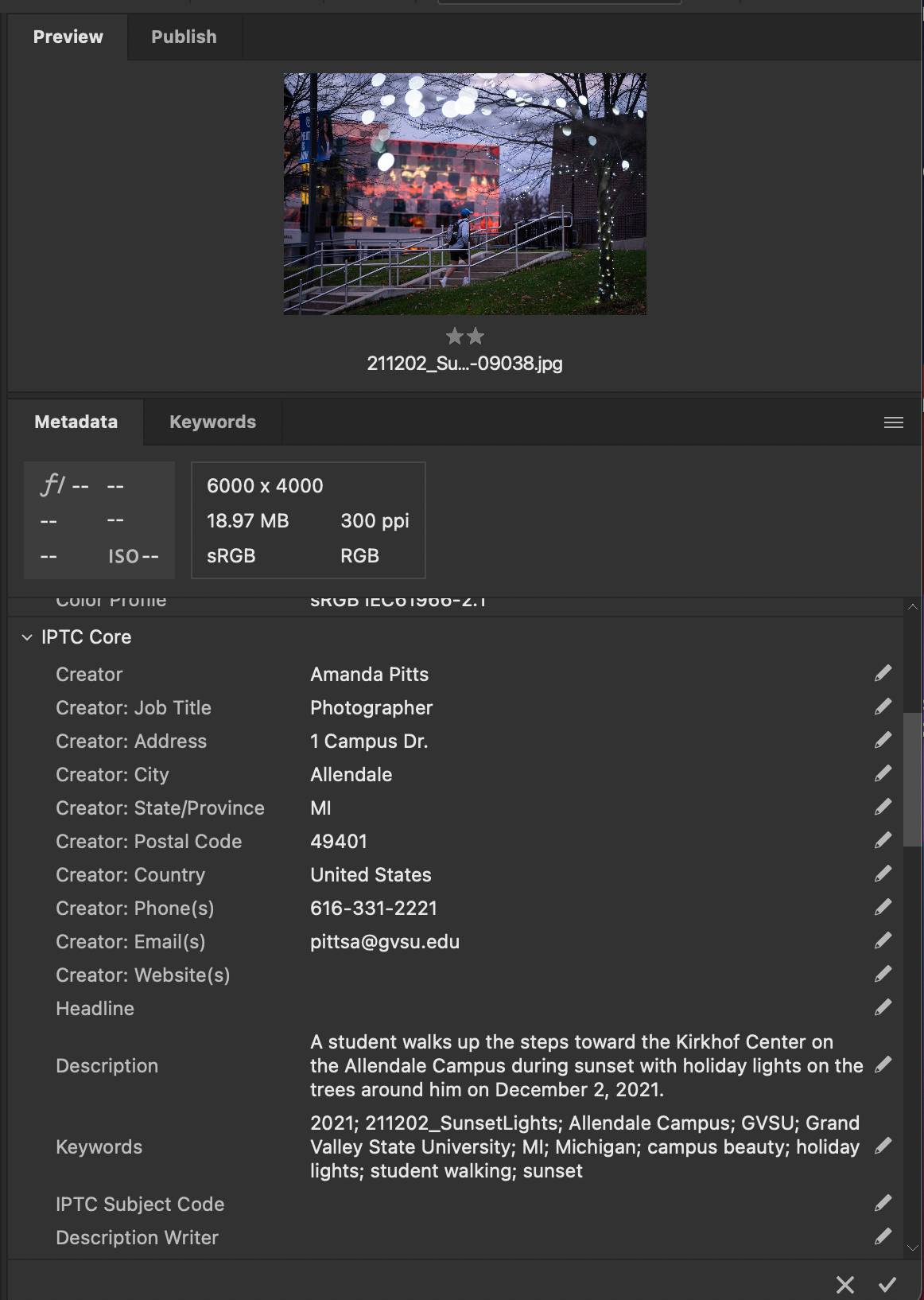 Screenshot of Adobe Bridge photo info